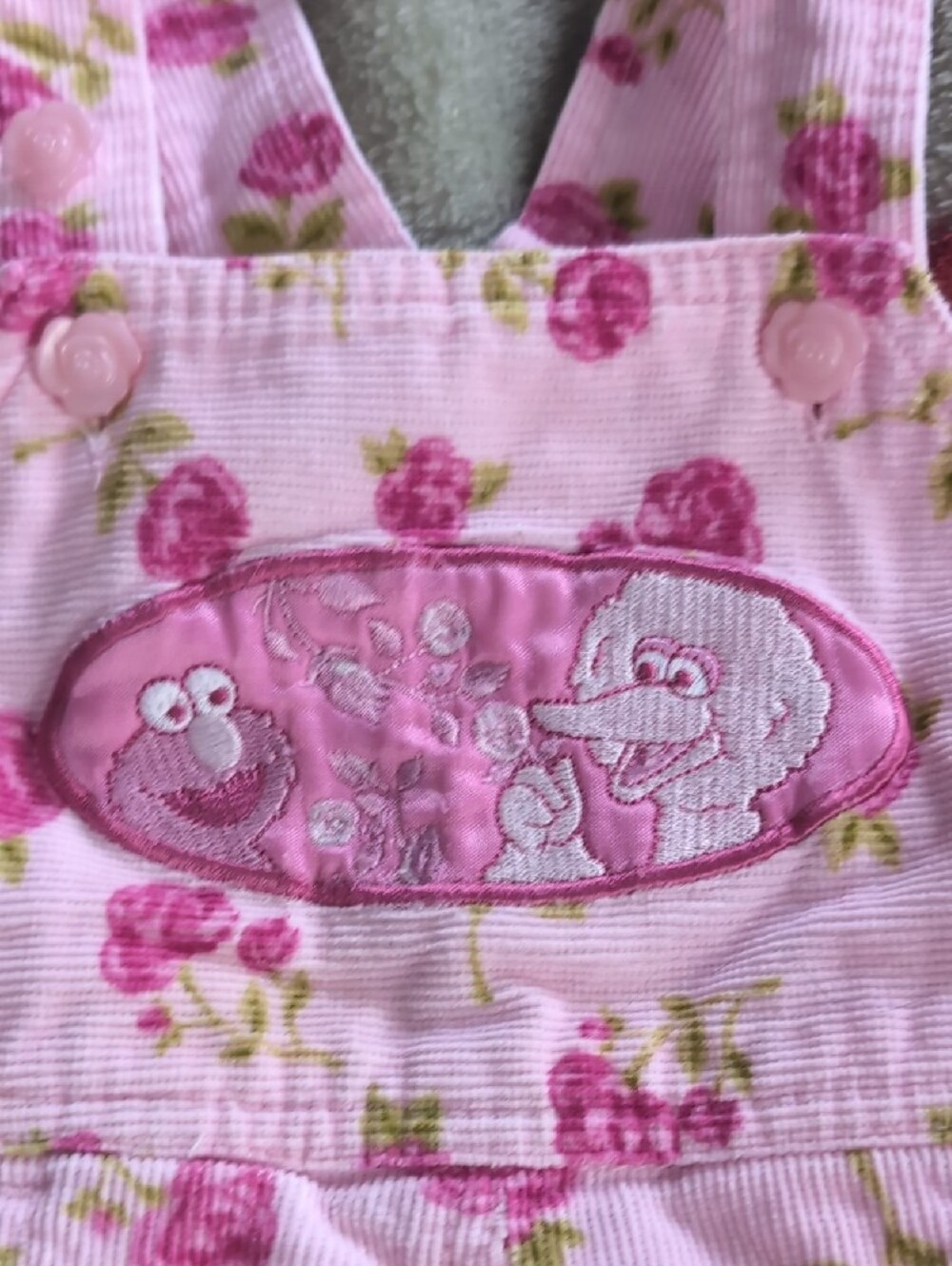 Sesame Street Pink Floral Girls' Overalls, Elmo And Big Bird - Picture 12 of 12